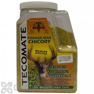 image of Tecomate - Chicory