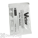 Alternate Image 2 Thumbnail