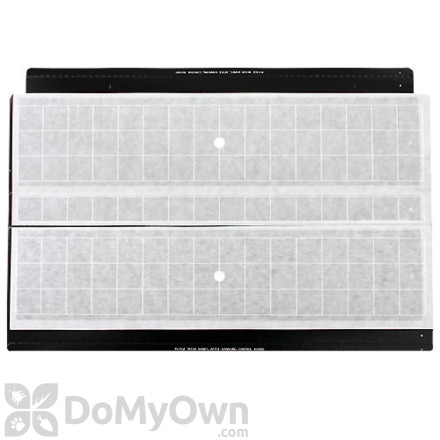 BASF Vector Universal Glueboards with Pheromone (59012143)