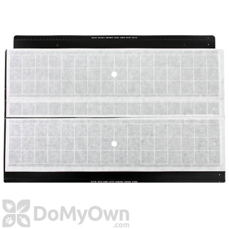 BASF Vector Universal Glueboards with Pheromone CASE