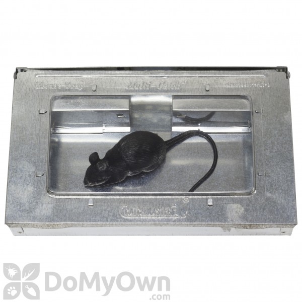 Catchmaster 612 Multi-Catch Mouse Trap - How To Pest 