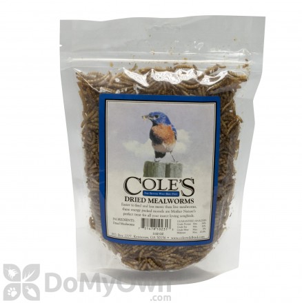 Coles Wild Bird Products Dried Mealworms 