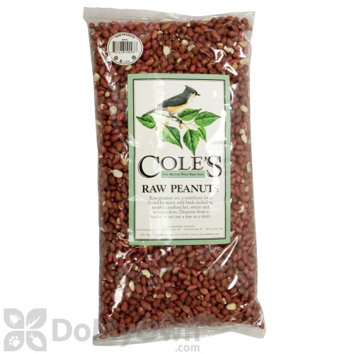 disposable shoe covers coles