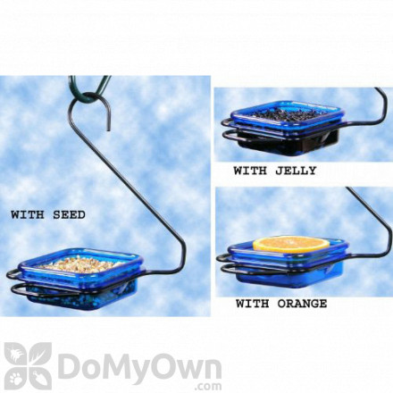 Mealworm Bird Feeders Supplies Bird Supplies Domyown Com