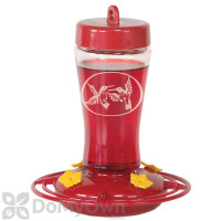 Homestead Etched Glass Hummingbird Feeder 12 oz. (3910)