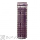 Hyde Squirrel Dilemma Bird Feeder 4 lb.