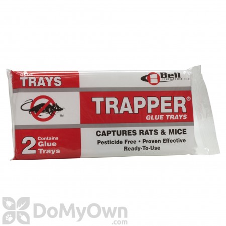 Trapper Rat Glue Board Traps - CASE (48 boards)