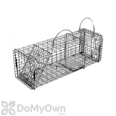Little Giant Double-Door Entry Live Animal Trap