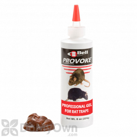 Provoke Professional Gel for Rat Traps - CASE