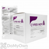 Cyper WSP BOX (12 envelopes)
