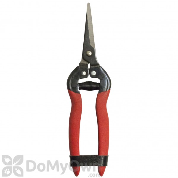 Corona Long Straight Snip