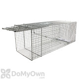 Alternate Image 1 Thumbnail