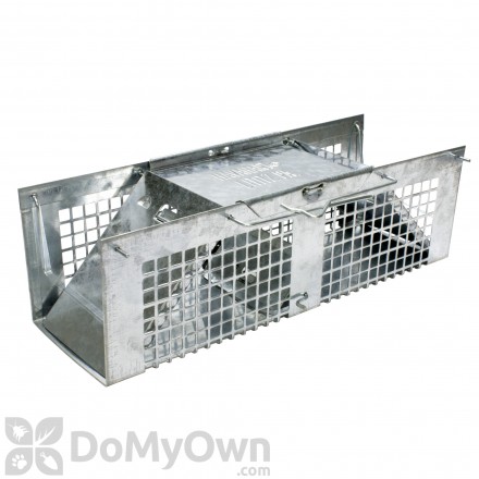 Havahart 1020 X-Small 2-Door Humane Catch and Release Live Animal Trap for  Moles, Rodents, Shrews, Mice, Voles, and Other Small Animals