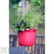 Pennington Tango Red 3 Pot Ruffled Vertical Garden Kit 7 in.