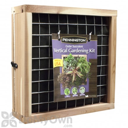 Pennington Natural Cedar Succulent Planter Box