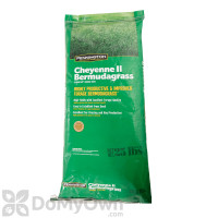 Pennington Cheyenne II Bermudagrass