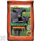 Pennington Durana White Clover 