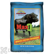 Pennington MaxQ Jesup Forage Tall Fescue 