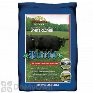image of Pennington Patriot White Clover
