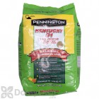 Pennington Kentucky 31 Tall Fescue 99.9 WF 