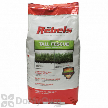 The Rebels Tall Fescue Blend Powder Coated Grass Seed 7 lb