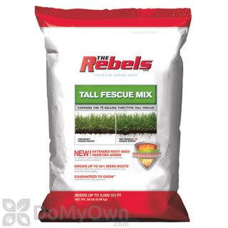 image of The Rebels Tall Fescue Blend Powder Coated Grass Seed  20 lb