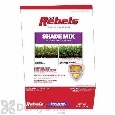 The Rebels Shade Mix for Tall Fescue Grass Seed