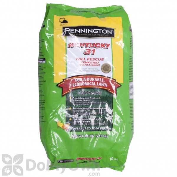 Pennington Kentucky 31 Tall Fescue Penkoted Grass Seed