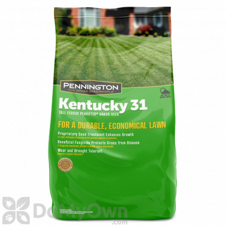 Pennington Kentucky 31 Tall Fescue Penkoted Grass Seed 50 lbs.