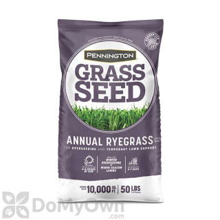 image of Pennington Annual Ryegrass Grass Seed 50 lbs.