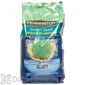 Pennington Smart Seed Fescue / Bluegrass Mix 