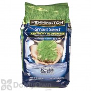 Pennington Smart Seed Kentucky Bluegrass Blend 