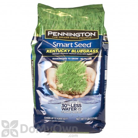 Pennington Smart Seed Kentucky Bluegrass Blend 