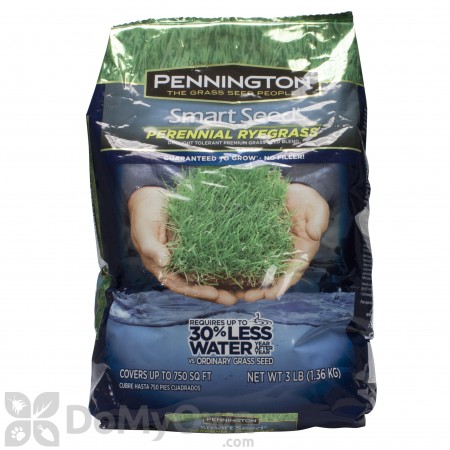 Pennington Smart Seed Perennial Rye Blend 