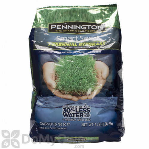 Pennington Smart Seed Perennial Rye Blend 3 Lb 22570