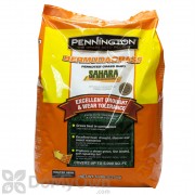 Pennington Sahara Bermudagrass Penkoted Grass Seed