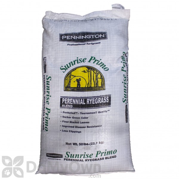 Pennington Sunrise Primo Perennial Rye Blue Tag TQ
