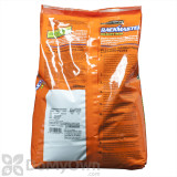 Alternate Image 1 Thumbnail