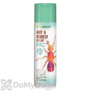 image of EcoSMART Ant & Roach Killer