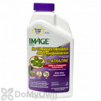 Image Herbicide for St. Augustine Grass and Centipede Grass Concentrate
