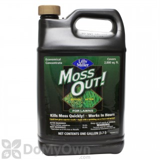 30 Seconds Outdoor Cleaner 30 Seconds Outdoor Cleaner