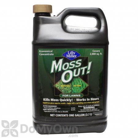 Lilly Miller Moss Out For Lawns Concentrate