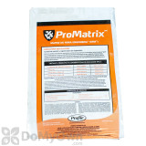 Alternate Image 1 Thumbnail