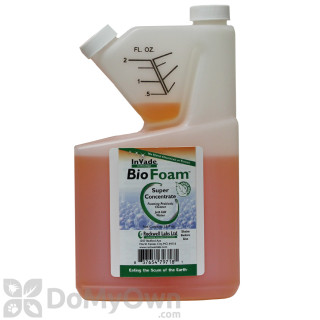 BASF Vector Fruit Fly Trap with Lure/Attractant