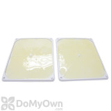 Alternate Image 1 Thumbnail