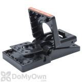 Alternate Image 1 Thumbnail