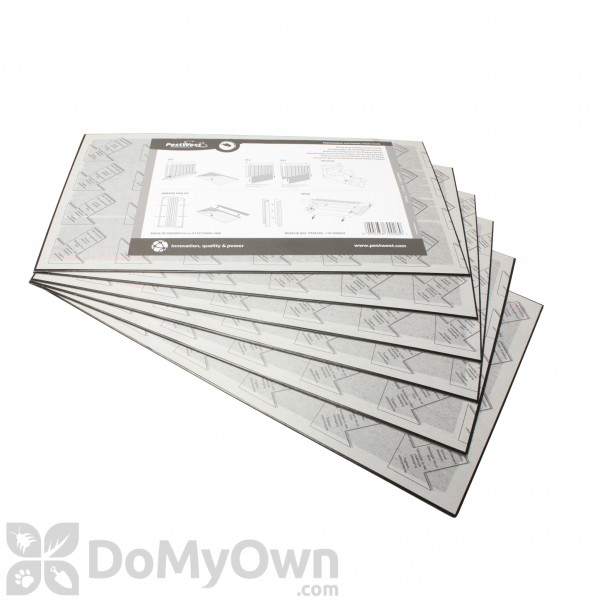 Mantis 10 x 17 Glue Board (Pack of 6) (Boacha 850) CASE