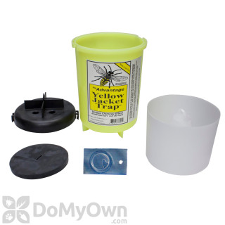 image of JF Oakes Advantage Yellow Jacket Traps - Western