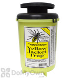 Alternate Image 1 Thumbnail