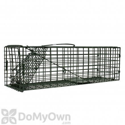 Duke Standard Single Door Rodent and Squirrel Cage Trap (1100)